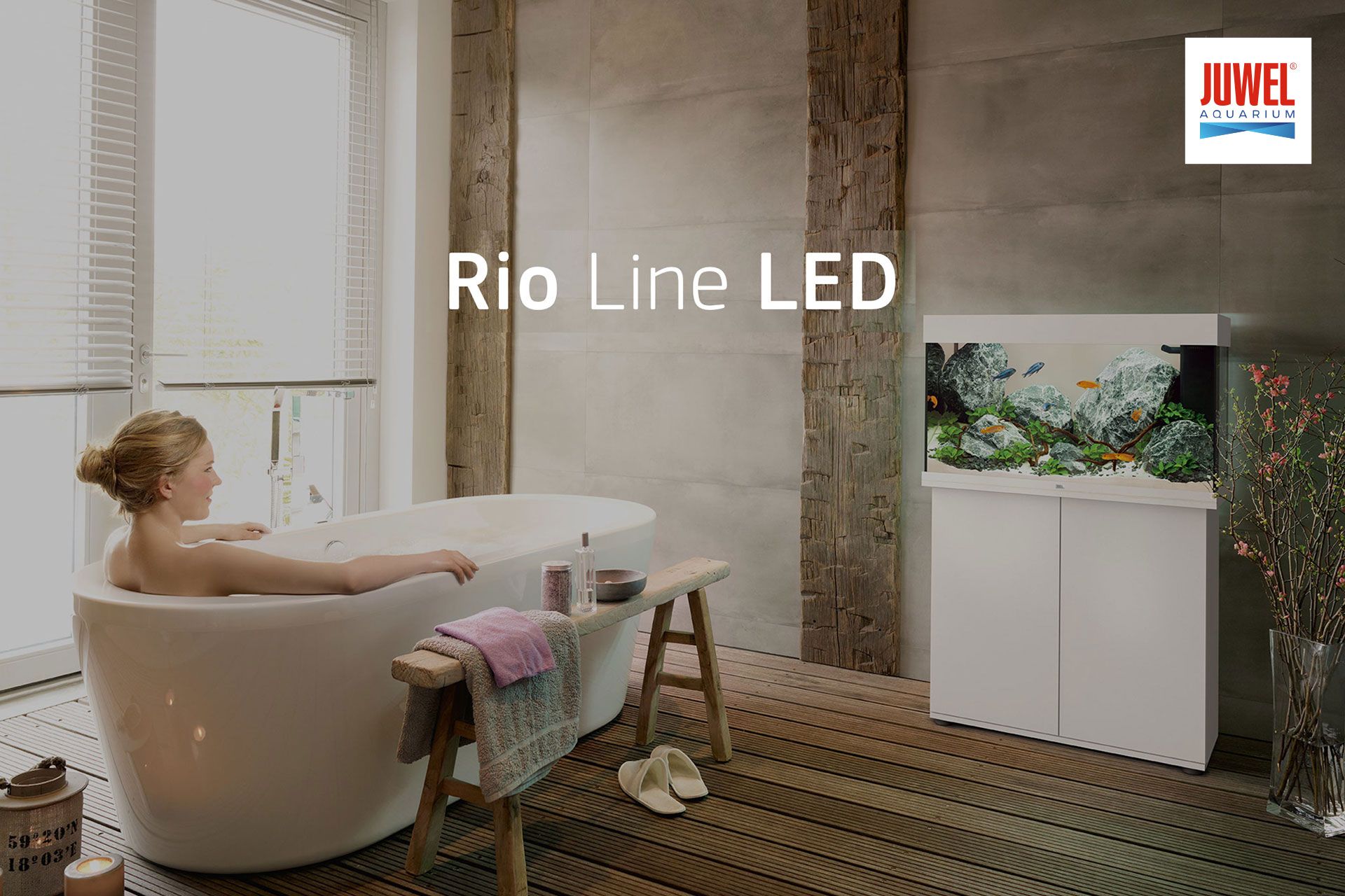 Acquariomania - Esempio 2 per tre colonne