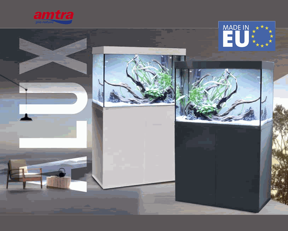 Acquariomania - Esempio 2 per tre colonne