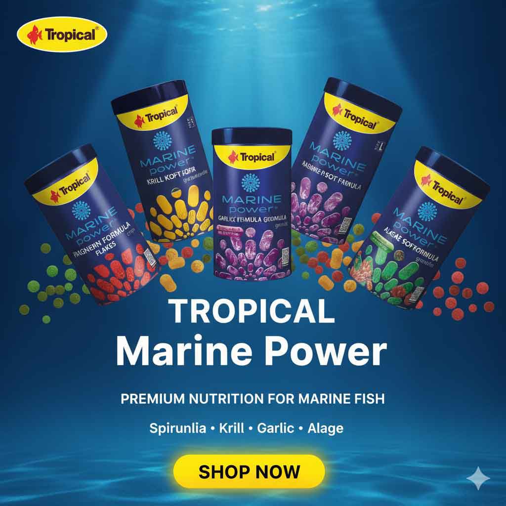 Acquariomania - Esempio 1 per tre colonne