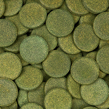 Sera Wels Tabs XXL pastiglie vegetali per grandi pesci vegetariani 250ml 120gr