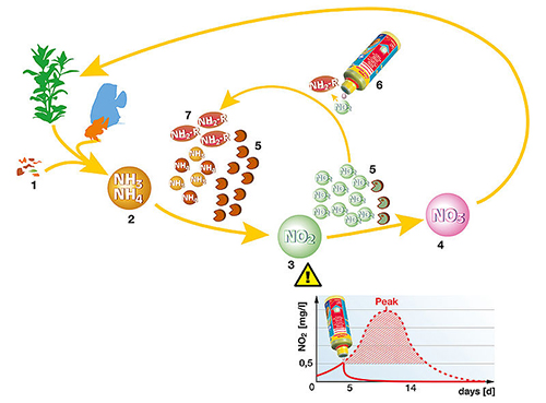 Sera Nitrit Minus per l'eliminazione dei Nitriti nel dolce e marino 500ml per 2000l