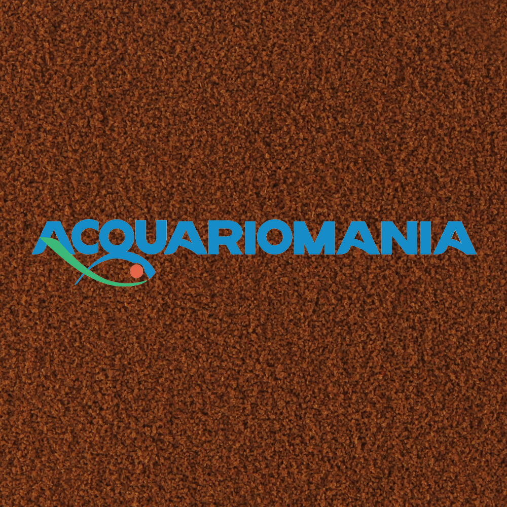 Blue line Artemia grains grade 12 15gr