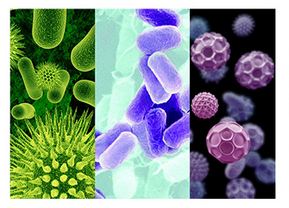 Chihiros Doctor NEW Sterilizzatore antialghe naturale per acquari 3° Serie da 60 fino a 700 litri