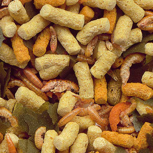 Tetra Pond Gold Mix 1Lt