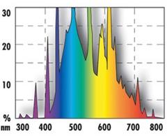 Jbl Reptil Sun 38W T8 104,7 cm 6000 K°