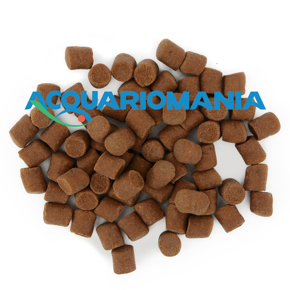 Blue line Bottom Stick 40gr