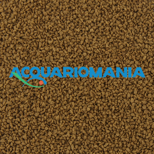 Blue Line Grade 81 Basic Advanced granulato affondante (0.8-1.2mm) 130gr