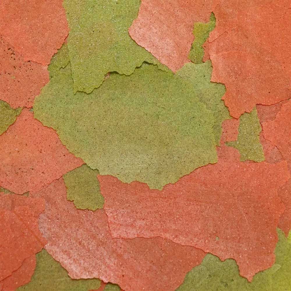 Ocean Nutrition Discus Flakes 34 g