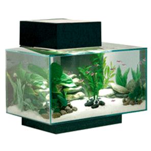 Askoll Acquario Fluval Edge 2.0 Led e Luce lunare 23Lt Black 43x26x22,4 new 2018