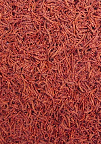 Ocean Nutrition Discus Pellets 125 g