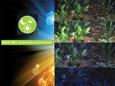 Askoll Acquario Pure LED M White 36x36x43,5h cm 44Lt