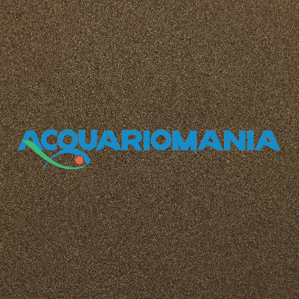 Blue line Artemia Cyst uova 30gr