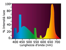 Askoll Lampada a neon Aqua Glo T8 40W 1200mm