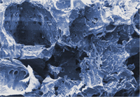 Sera Siporax Mini Substrato Biologico 130 g