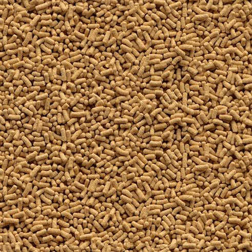 Tetra Pond Sticks Mangime base per Laghetto 7lt 780g