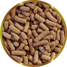 Shg Gammarus Stick per Tartarughe 400gr