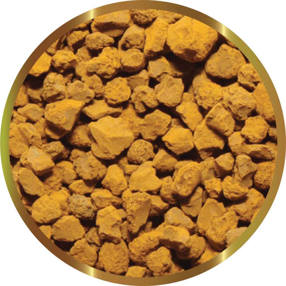 Shg Resina Antifosfati per Acqua Dolce e Marino 2x50gr per circa 200Lt