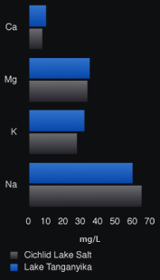 Seachem Cichlid Lake Salt 250 g