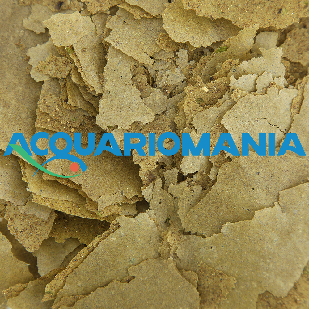 Vitalis (ex New Era) Algae Flakes Mangime in scaglie vegetale 30gr