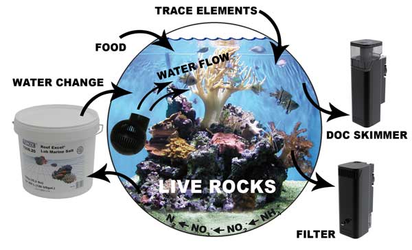 Tunze 0250.000 Comline Reefpack 250 da 60 a 250lt