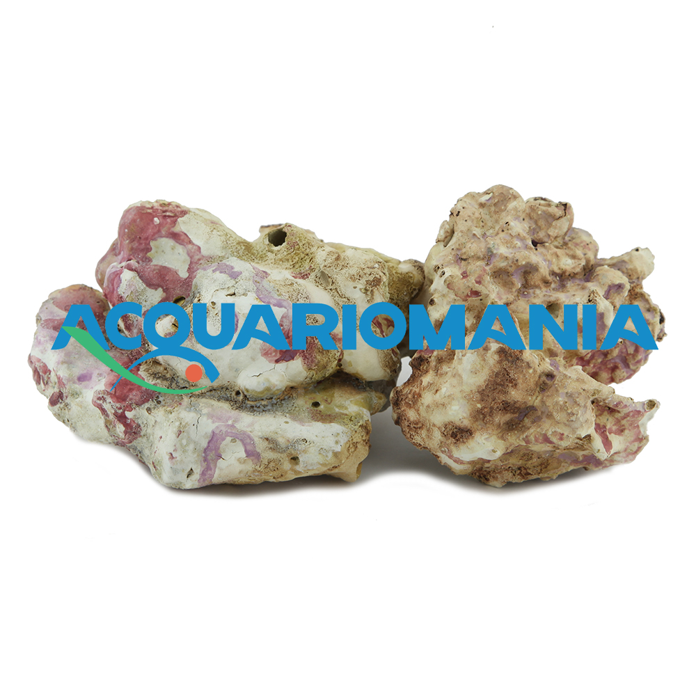 Roccia Light Sea Rocks sintetica ultraleggera per acquari marini prezzo al Kg