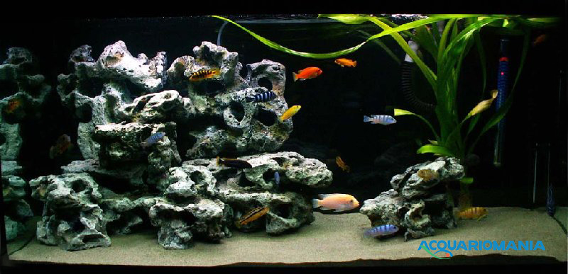 Europet Bernina Roccia Combo Resina Media 22.8x18.5x15.5h cm