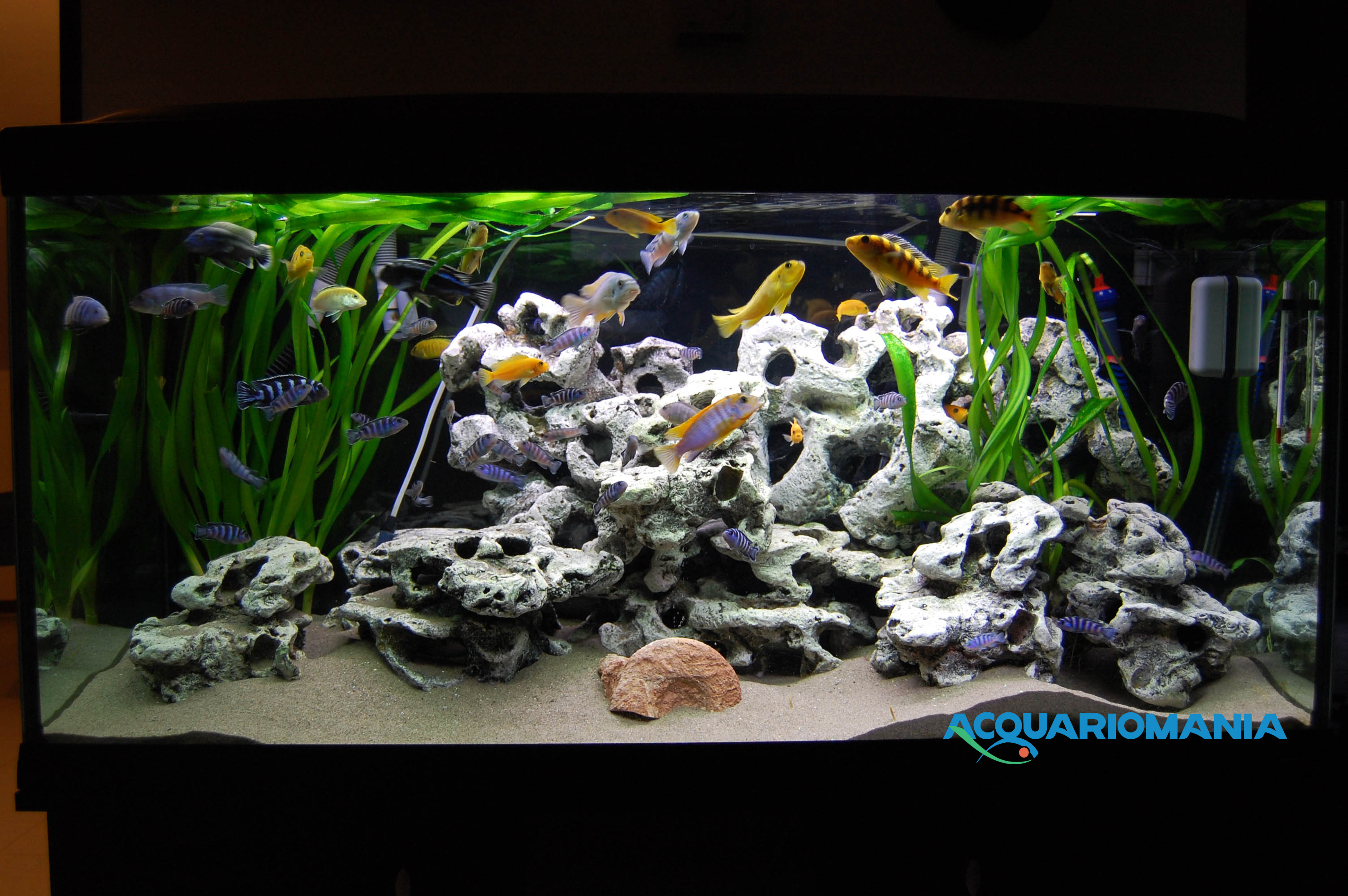 Europet Bernina Roccia Combo Resina Grande 29.5x26x9h cm