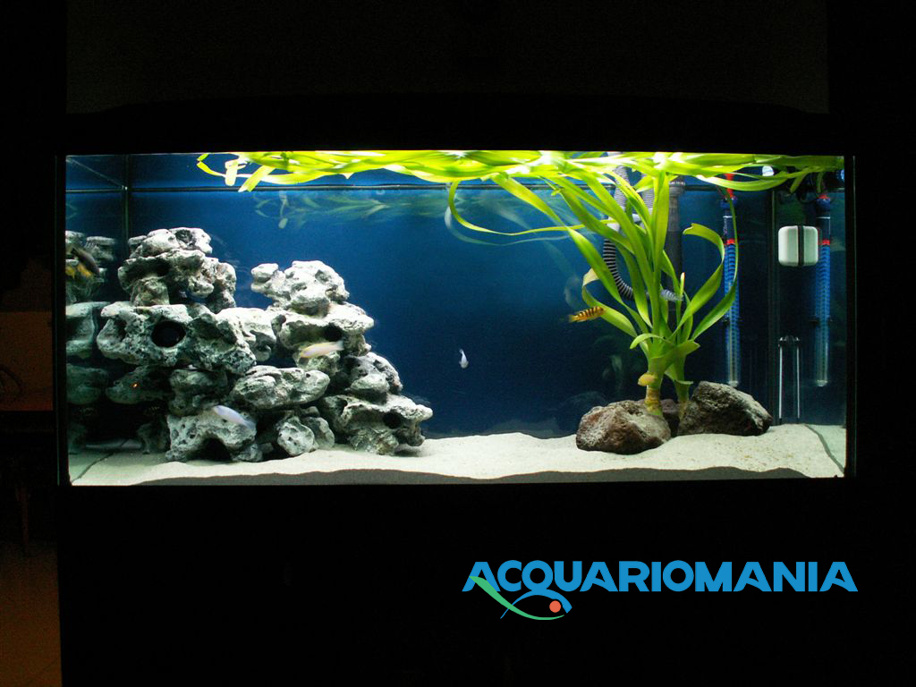 Europet Bernina Roccia Combo Resina Gigante 34.5x17.5x23h cm