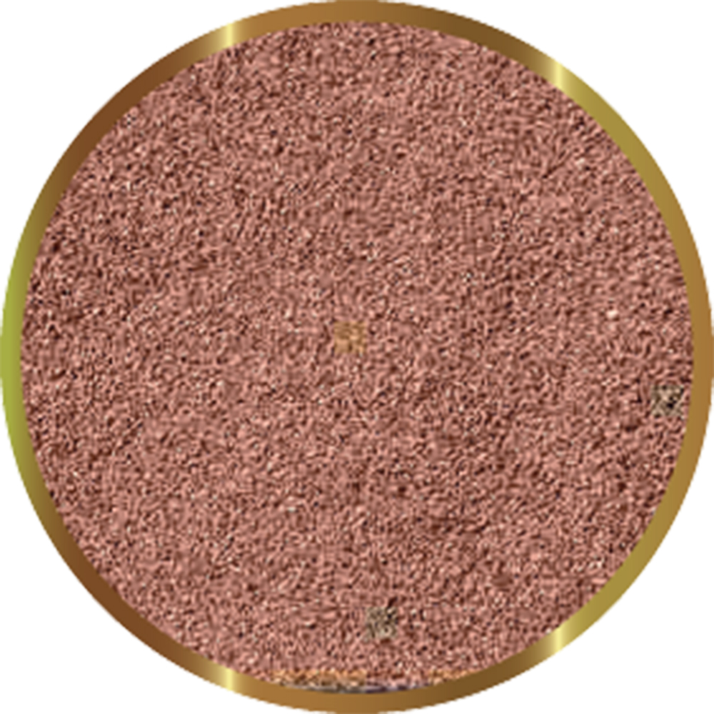 Shg Premium Cisti di Artemia 10g