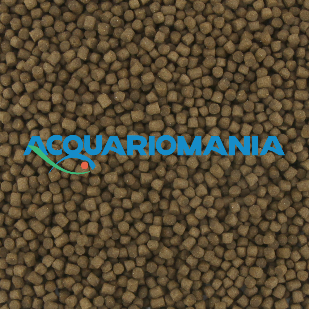 Blue Line Lake Ciprio 300 Affondante per Ciprinidi e Ciclidi Africani 3mm 1L 600g