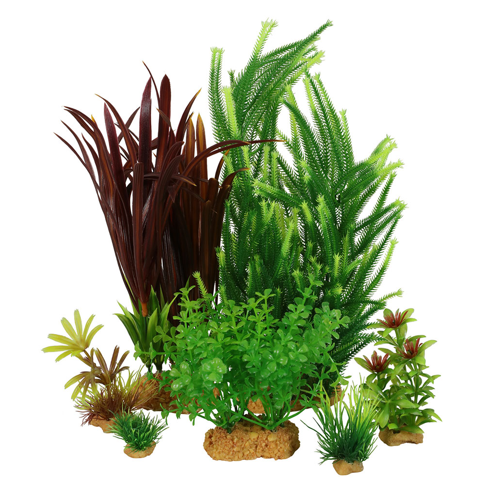 Zolux PlantKit Jalaya 1 Assortimento 6 piantine in plastica