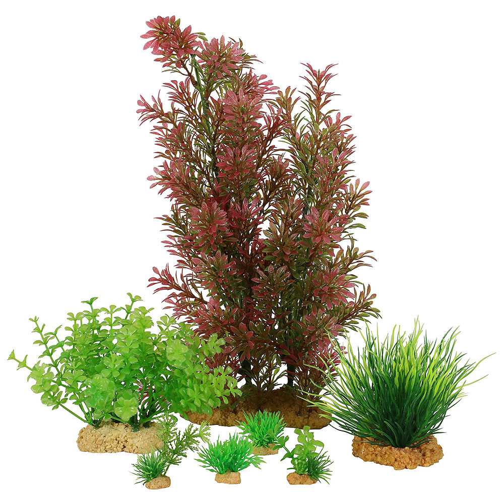 Zolux PlantKit Jalaya 3 Assortimento 6 piantine in plastica