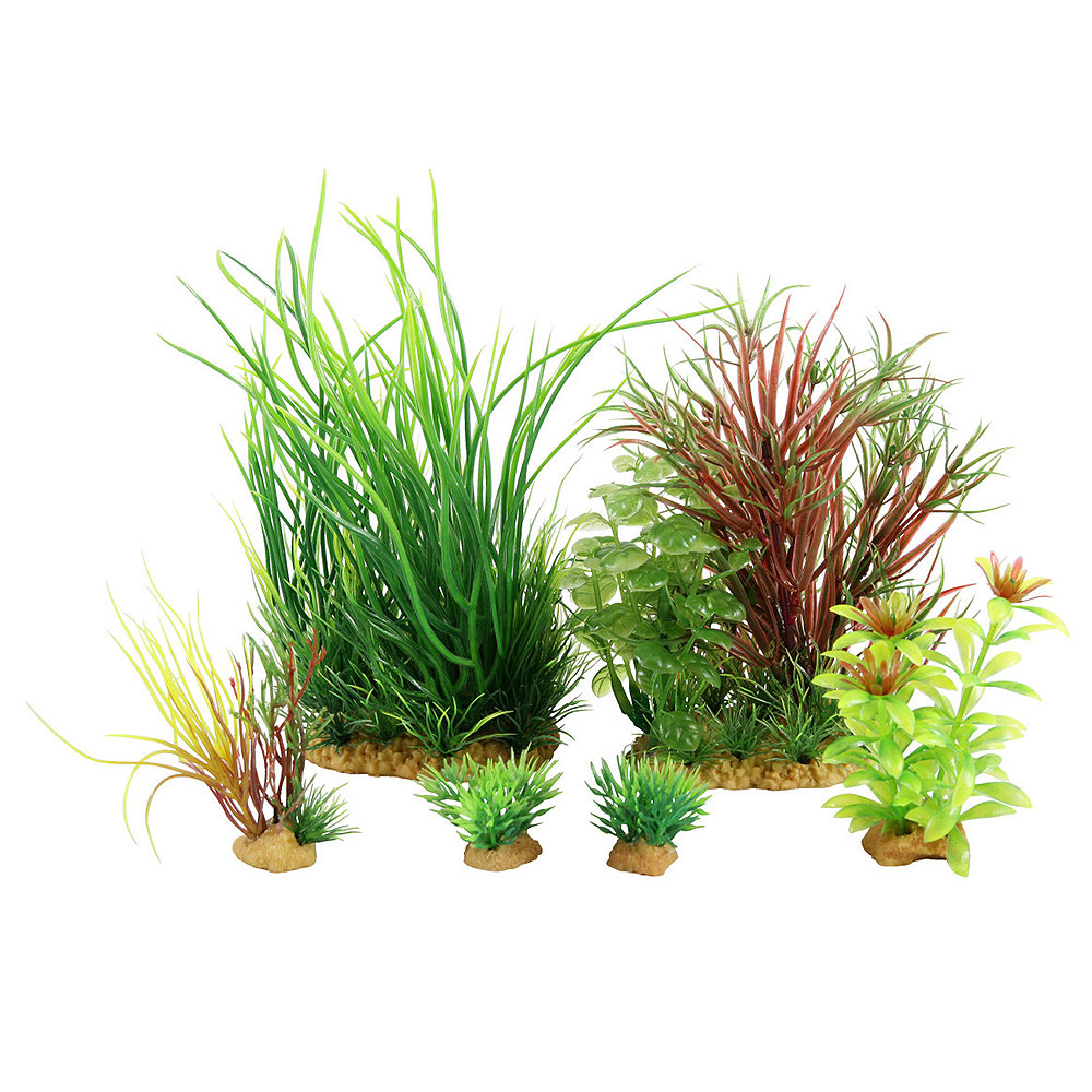 Zolux PlantKit Jalaya 4 Assortimento 6 piantine in plastica