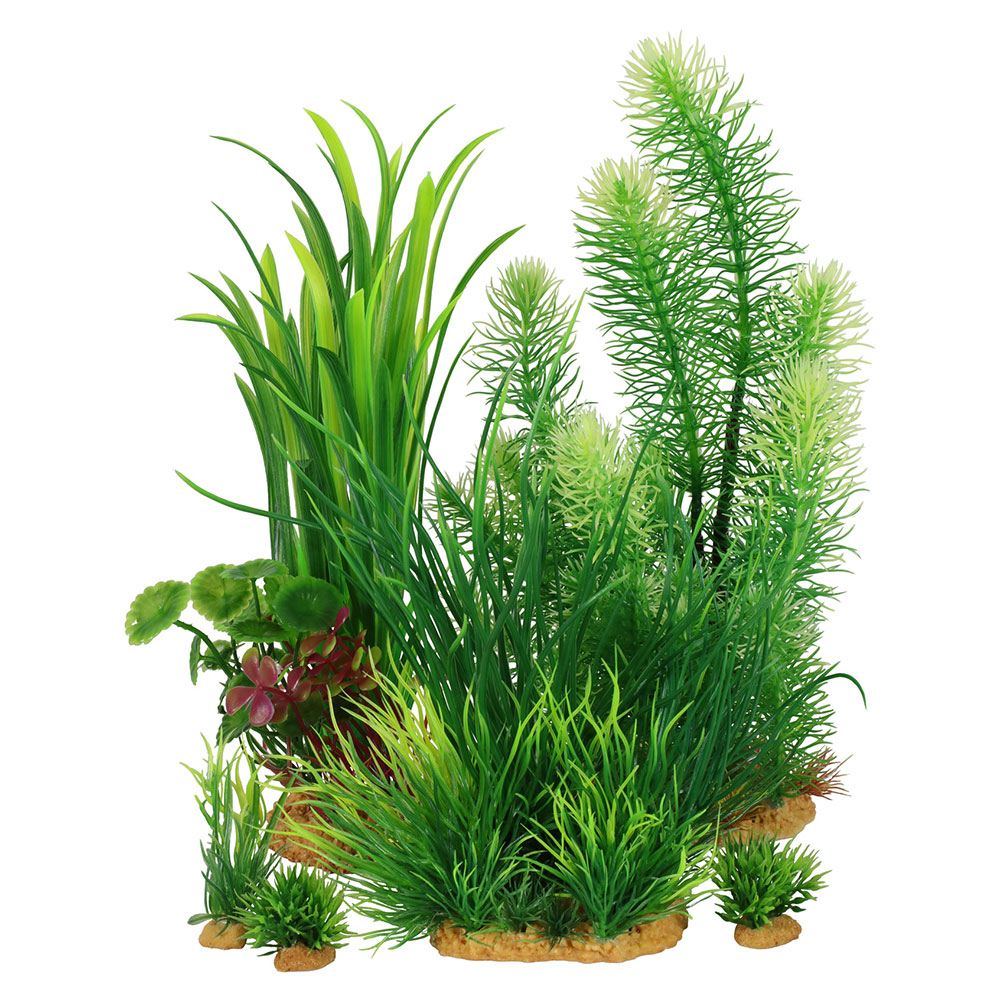 Zolux PlantKit Idro 3 Assortimento 7 piantine in plastica