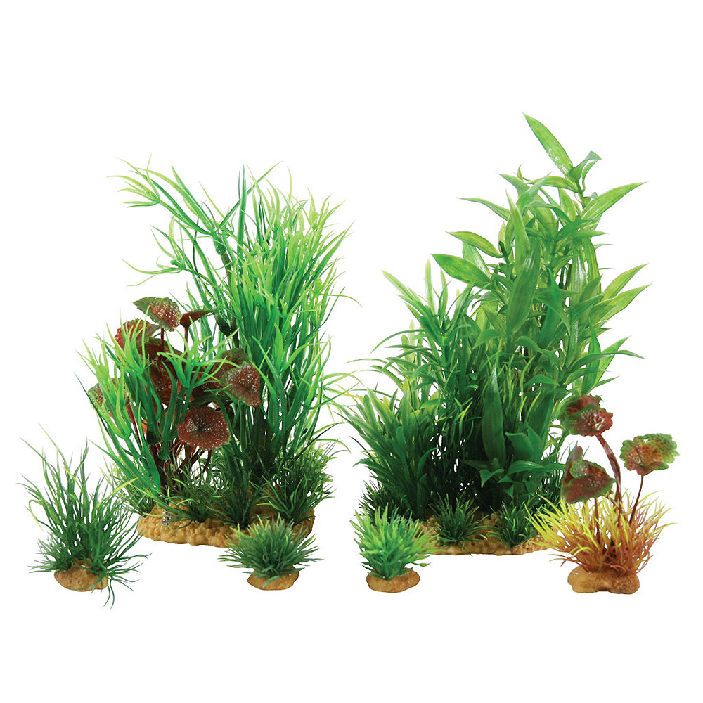Zolux PlantKit Idro 3 Assortimento 7 piantine in plastica (copia)