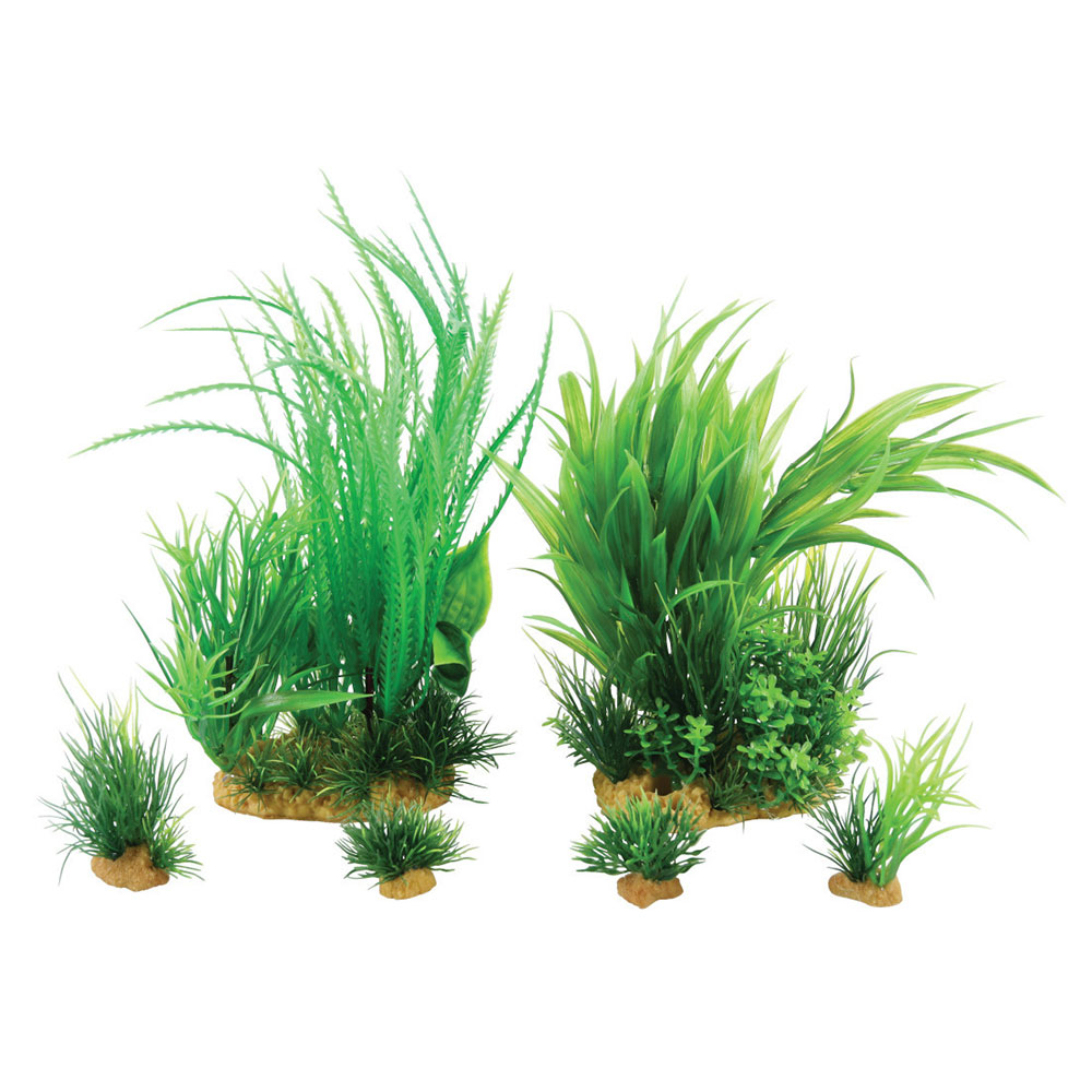 Zolux PlantKit Mix 6 Modello 3 Assortimento piantine in plastica