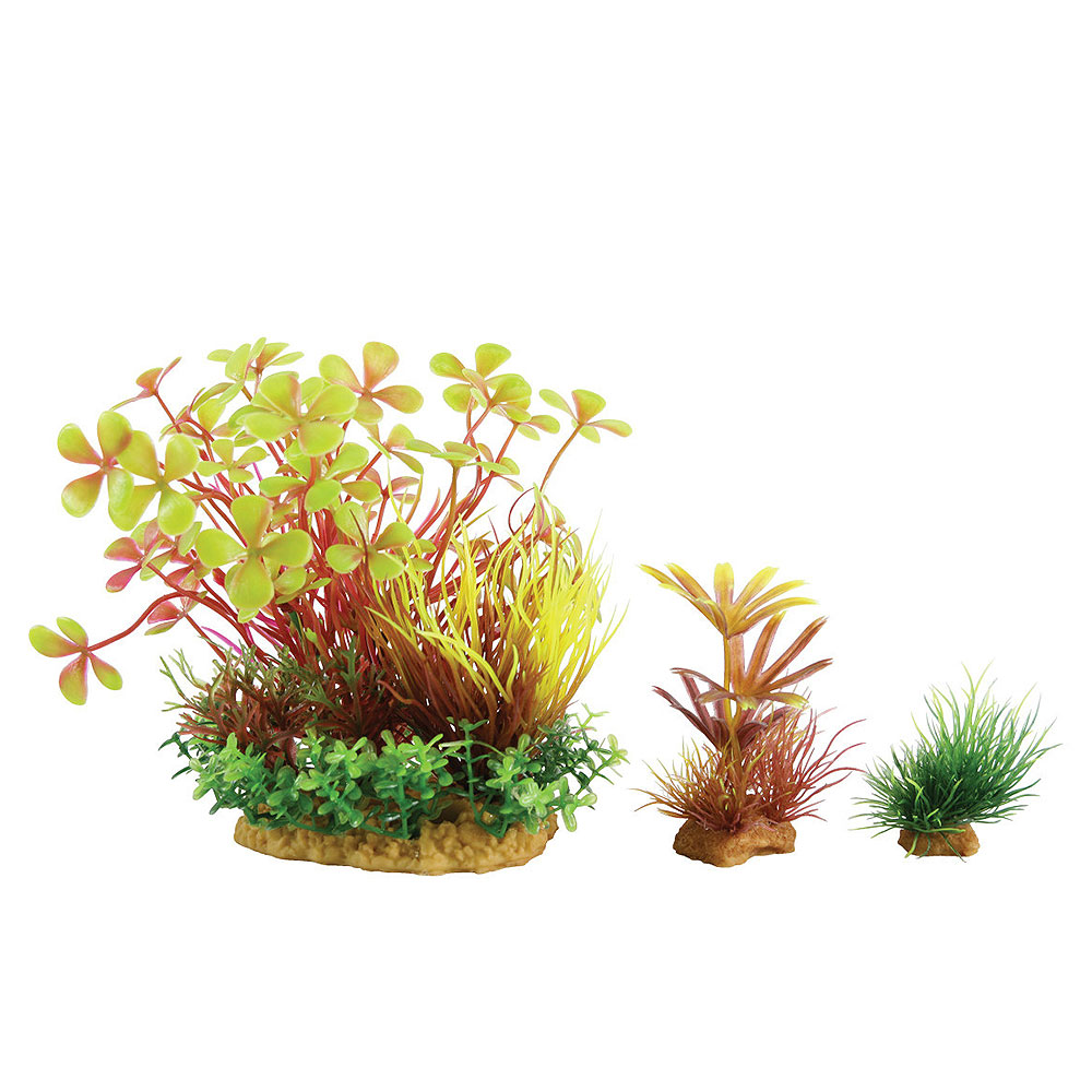 Zolux PlantKit Mix 6 Modello 4 Assortimento piantine in plastica