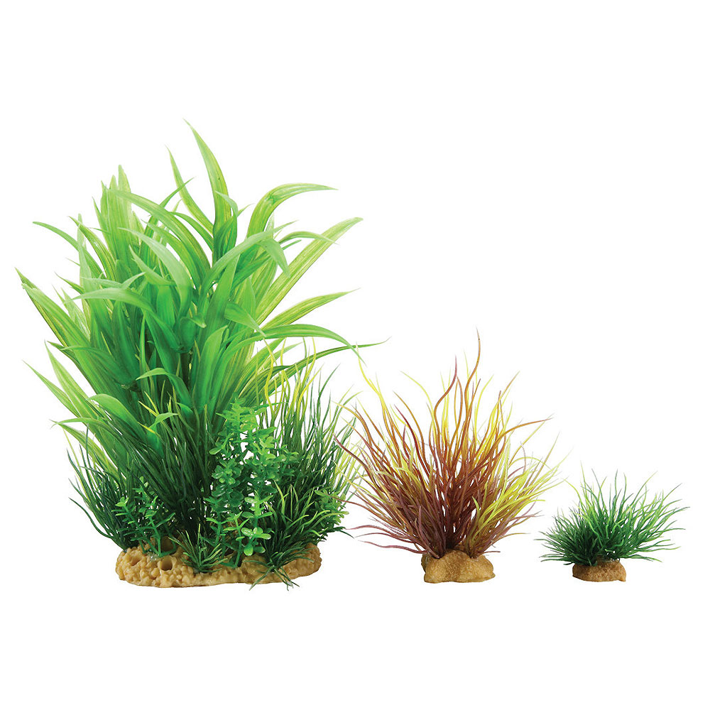 Zolux PlantKit Mix 4 Modello 4 Assortimento piantine in plastica