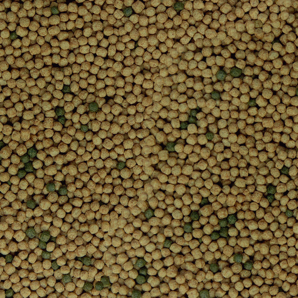 Sera Raffy Baby Gran Nature per Tartarughe d'acqua piccole 100ml 32g