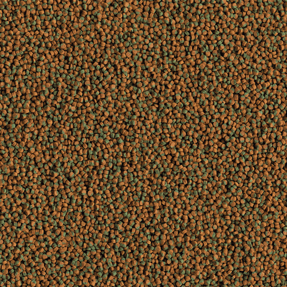 Tetra Cichlid Algae mini 500ml 165g