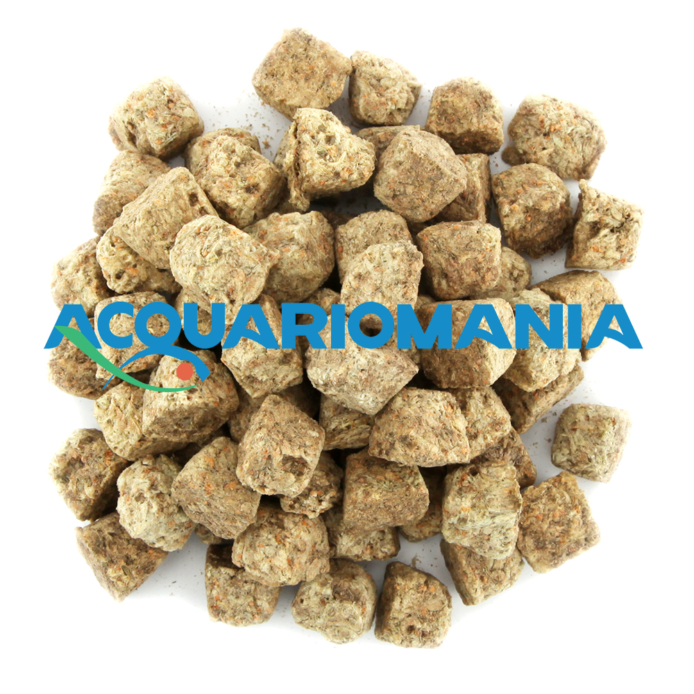 Shg Artemia Liofilizzata 50g