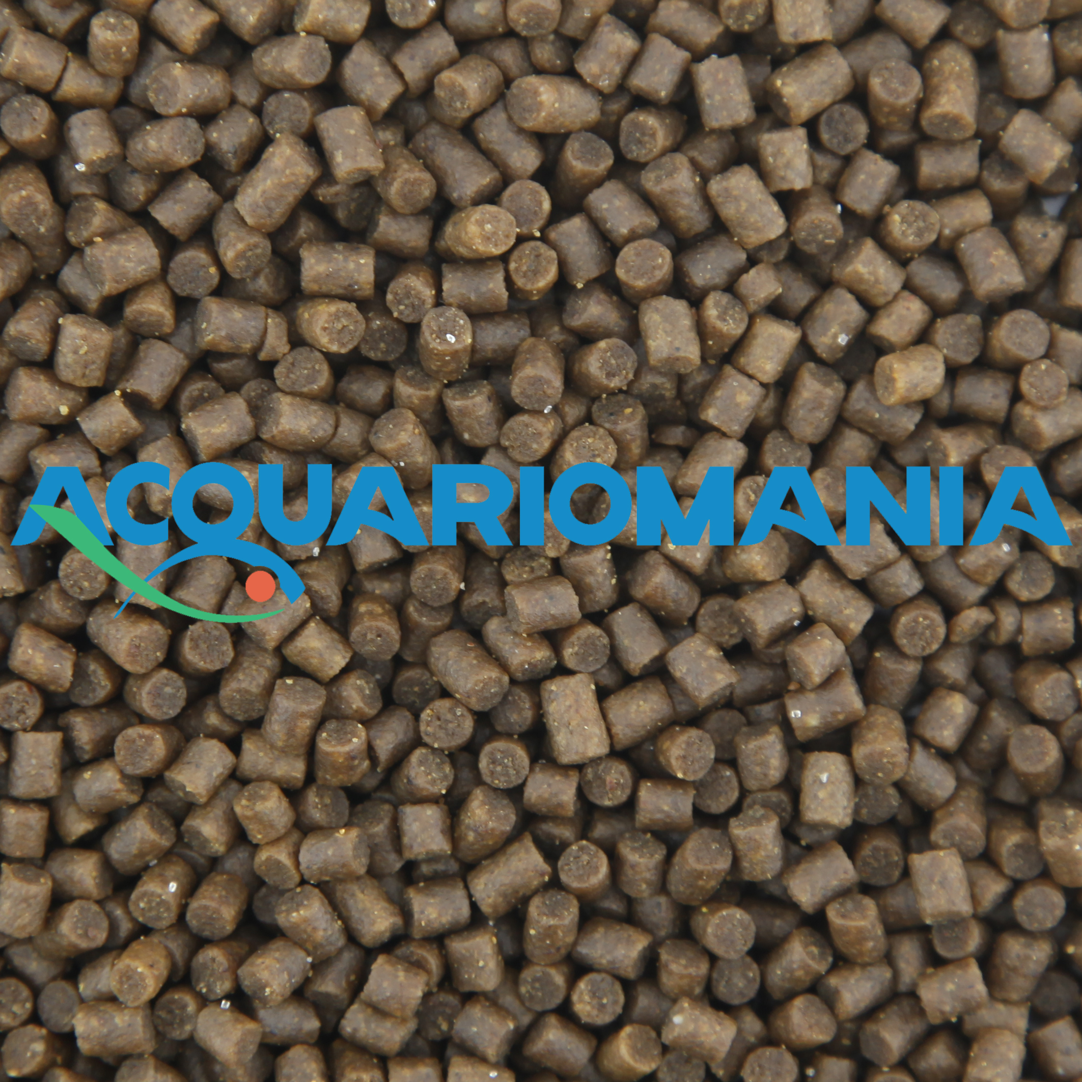 Bassleer REGULAR XXL 250/170g. 02/2022