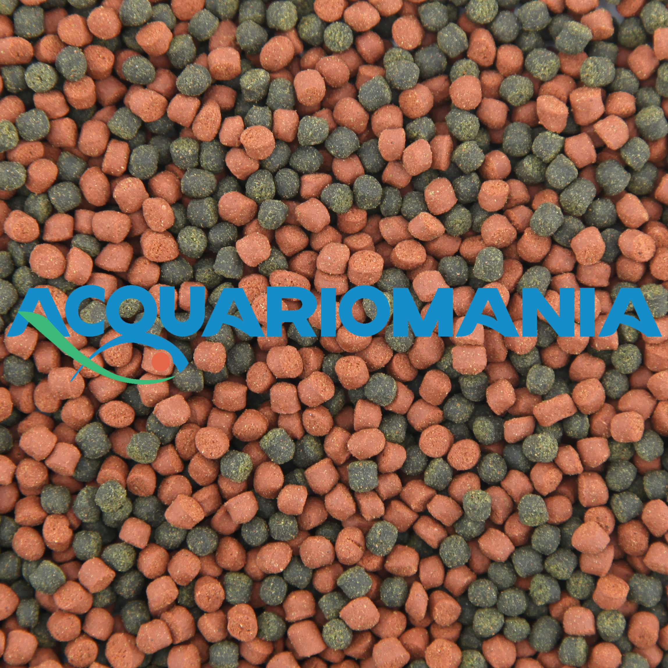 Shg Premium Marino Large 50gr