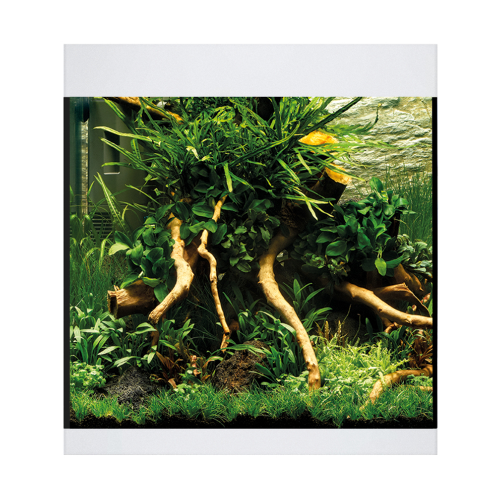 Oase Acquario StyleLine 85 Bianco 50x36x42 75 litri