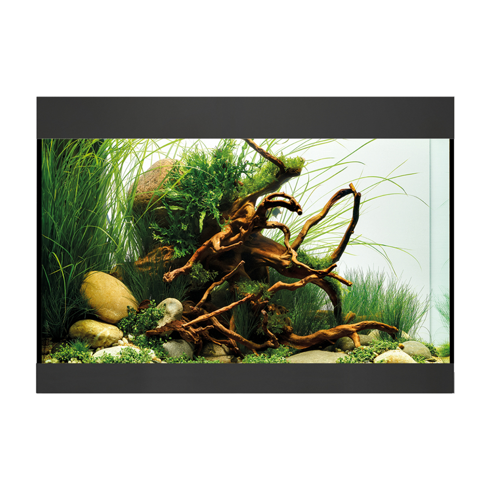 Oase Acquario StyleLine 125 con Supporto Nero 70x36x50 115 litri