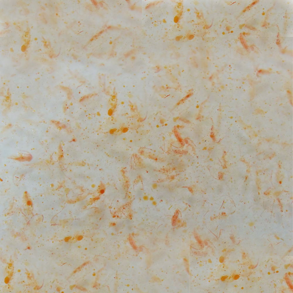 Ocean Plankton (calanus) 250ml