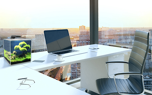 Ciano Aquarium Cube 15 Led Nano acquario con Filtraggio Luce a Led e coperchio 14 Litri