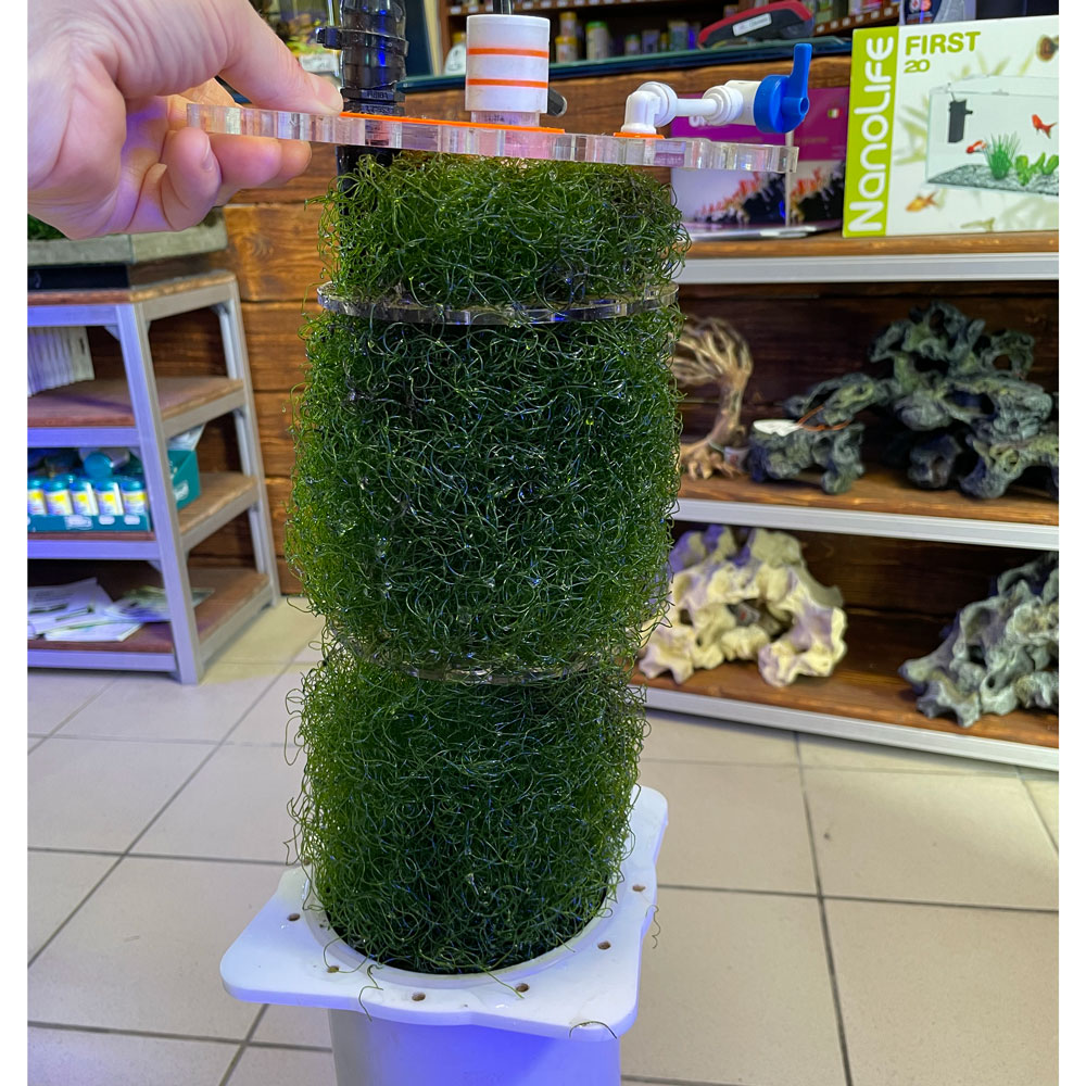 Pacific Sun Algae Reactor BH Small Reattore ad alghe per acquari marini fino a 500 litri circa