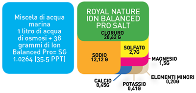 Royal Nature Ion Balanced Pro Reef Salt Secchio 10Kg