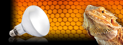 Exoterra Solar Glo 125W Lampada come il sole